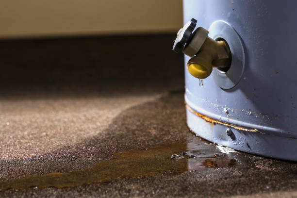 Best Water damage restoration services  in Mcloud, OK