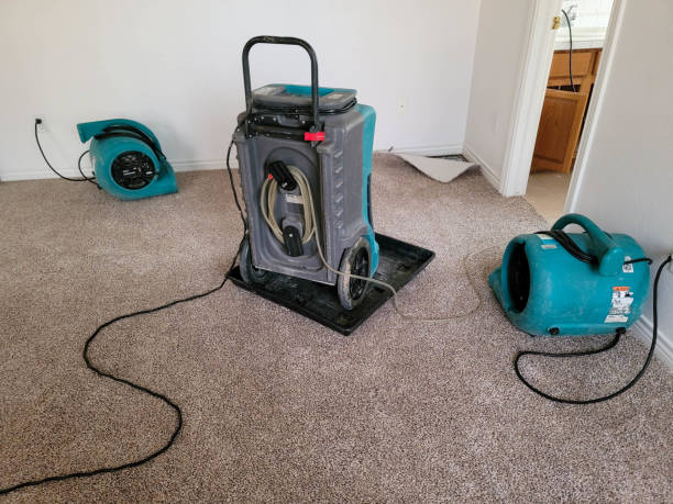 Best Professional water damage repair  in Mcloud, OK