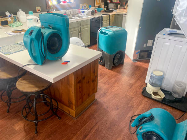 Best Water damage restoration specialists  in Mcloud, OK
